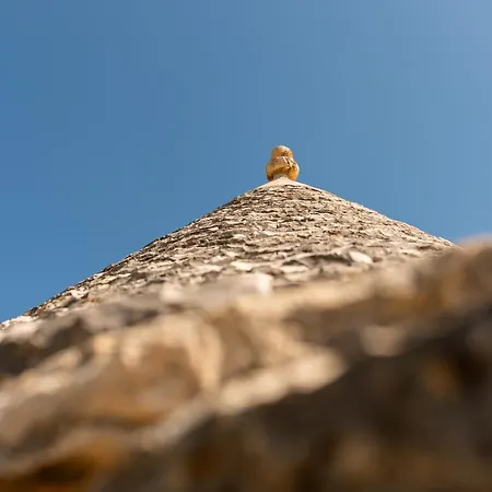 Villa Trullo Ape Regina By Monholiday